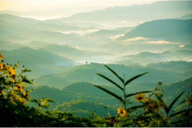 白黒のイソギンチャクが砂の上に様子