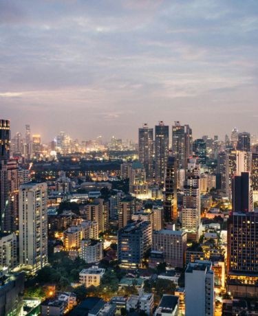 大量の魚が泳いでいる様子