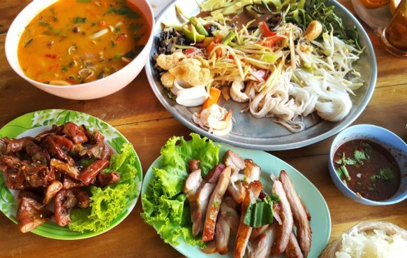 1匹の熱帯魚が泳いでいる様子