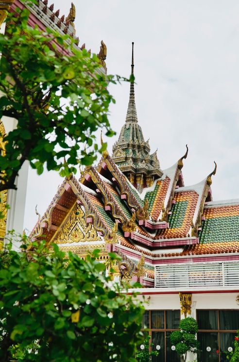 珊瑚礁の周りを黄色い魚が泳いでいる様子