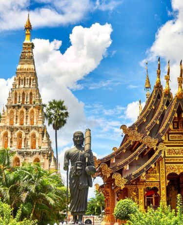 黄色い魚の群れの中をダイバーが泳いでいる様子