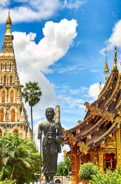 ウミガメが海中を移動している様子