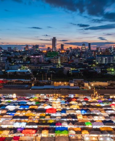 珊瑚礁に様々な魚が集まっている様子